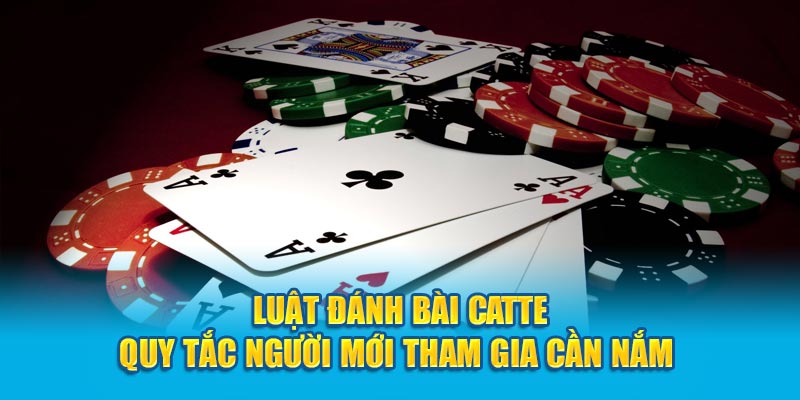 luat danh bai catte